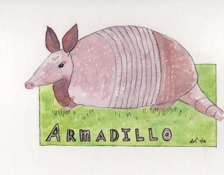 Armadillo - watercolor and ink