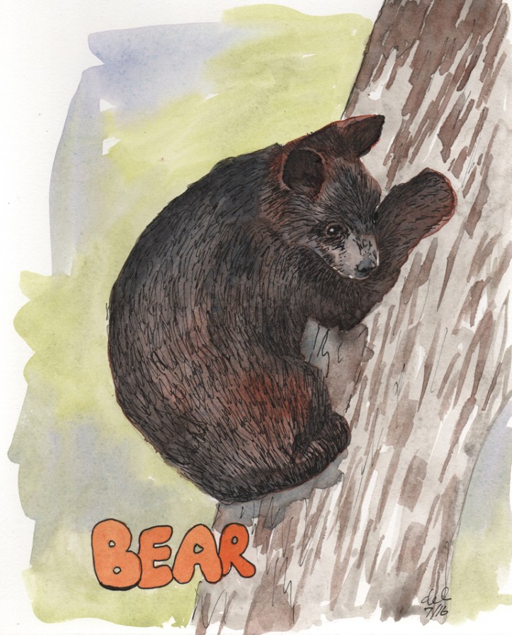 Bear - watercolor and ink