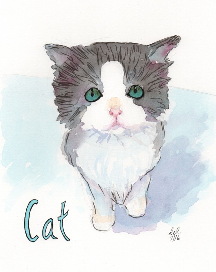 Cat - watercolor and ink
