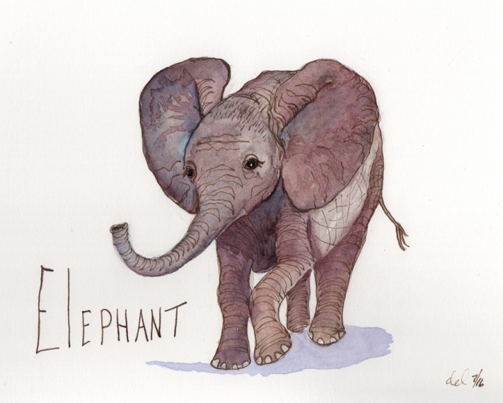 Elephant - watercolor and ink
