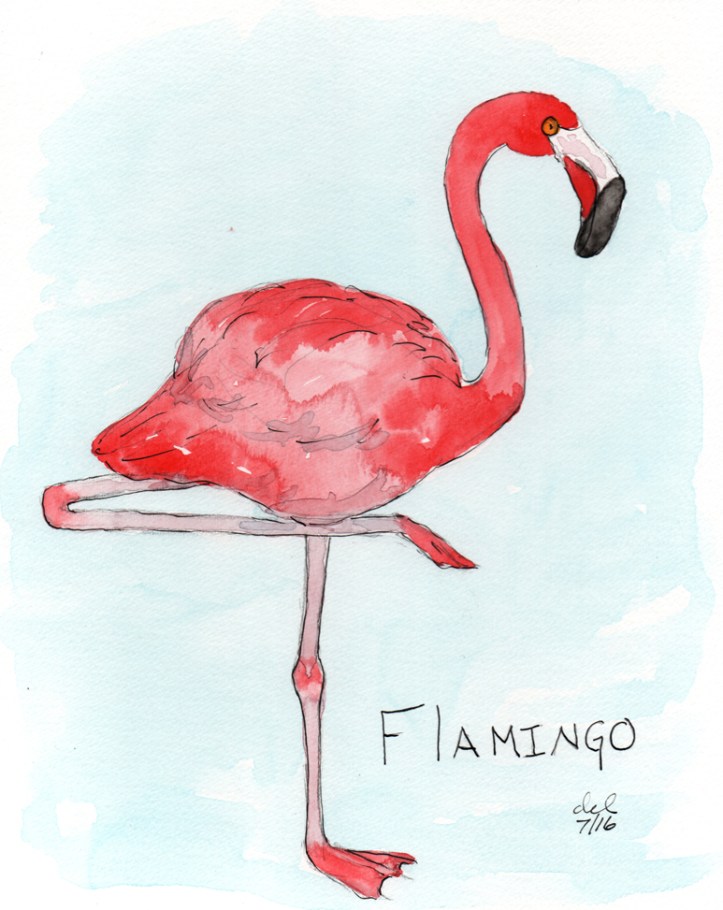 Flamingo - watercolor and ink