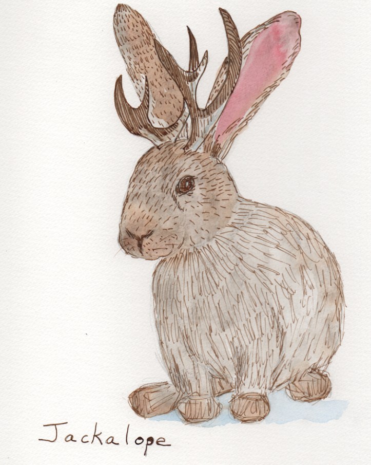 Jackalope - watercolor and ink