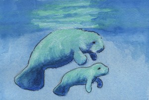 Spring Calf - watercolor, watercolor crayons and ink