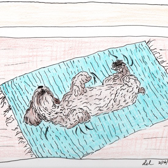 Mokie's Daily Conniption - ink and colored pencil