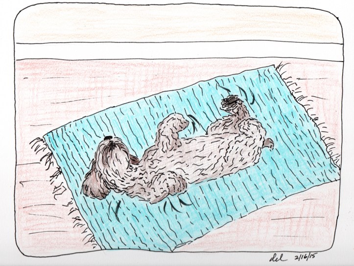 Mokie's Daily Conniption - ink and colored pencil