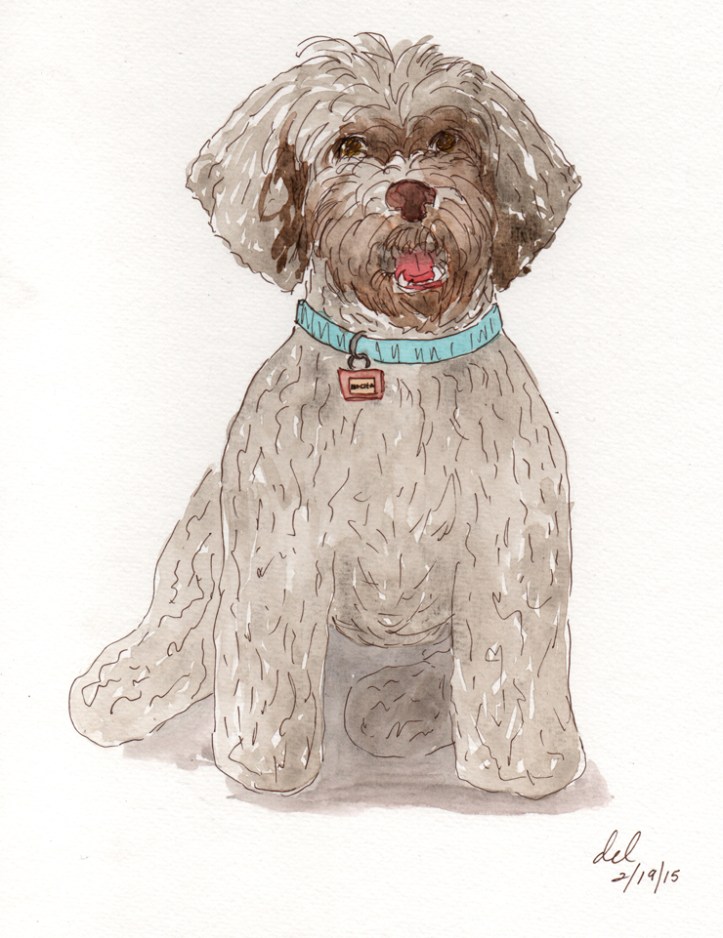 Mokie - watercolor and ink