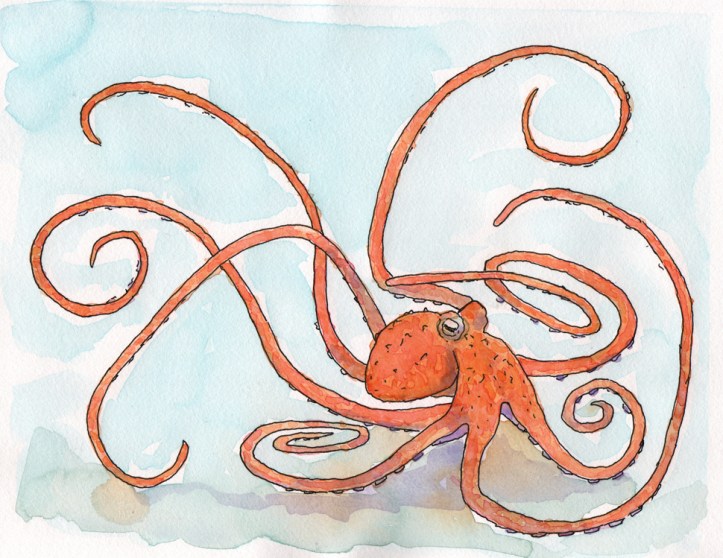 O for Octopus - watercolor and ink