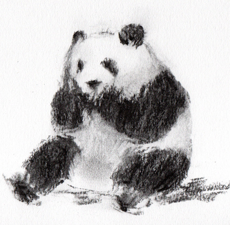 Panda - Charcoal