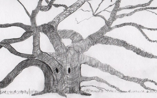 Singing Tree - Pencil