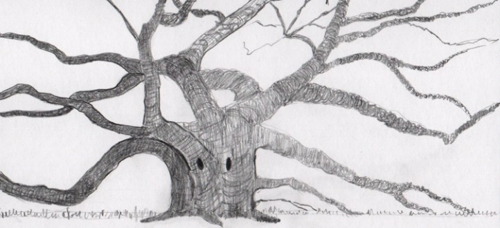 Singing Tree - Pencil