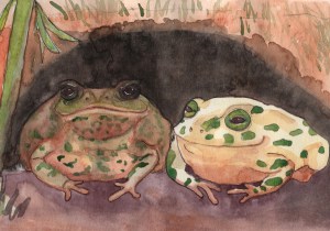 The Toads - watercolor and ink