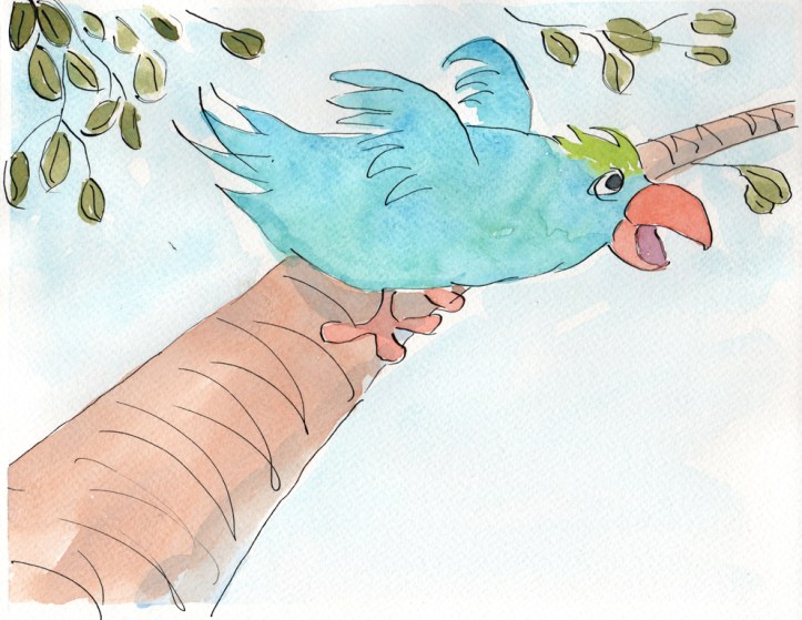 Parrot - watercolor and ink
